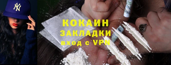 соль ск Алексин