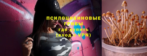 соль ск Алексин