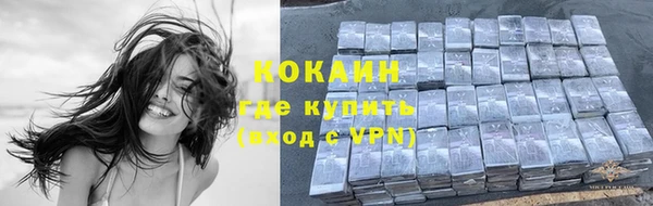 соль ск Алексин