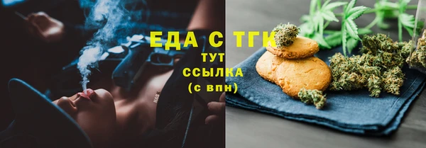 ECSTASY Алзамай