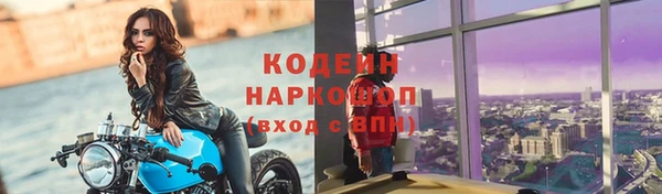 ECSTASY Алзамай
