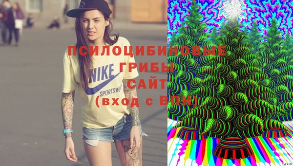 хмурый Алексеевка