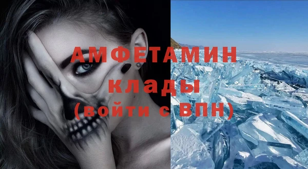 ECSTASY Алзамай