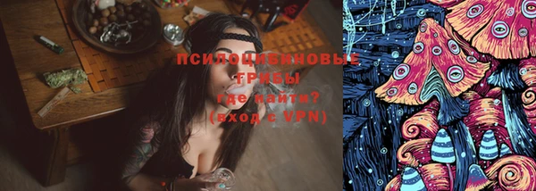соль ск Алексин
