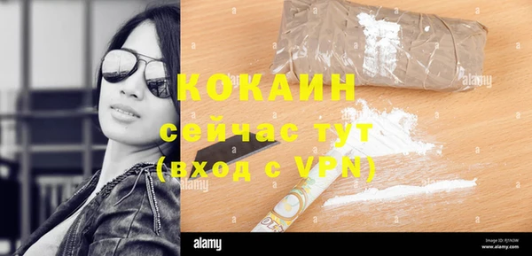 ECSTASY Алзамай