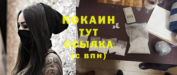 соль ск Алексин