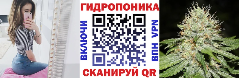 Бошки Шишки план  Карабулак 